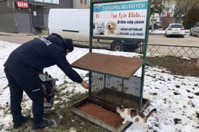 Taşköprü Belediyesi sokak hayvanlarını unutmuyor