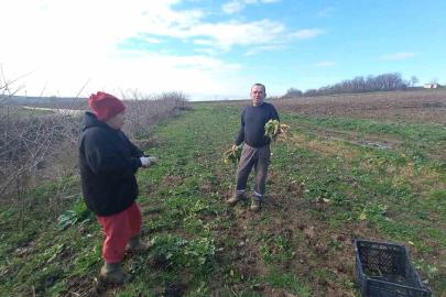 Toprağa emek, çocuklara gelecek: Karı-koca dört mevsim tarlada çalışıyor