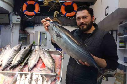 Torik tezgahlara geç geldi ama yüzleri güldürüdü