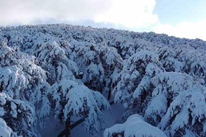 Türkiye’nin ilk Milli Parkı Çamlık’ta kar manzarası havadan görüntülendi