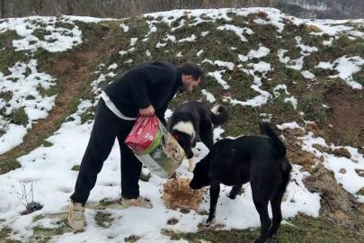 Uludağ’da aç kalan köpeklerin imdadına hayvanseverler yetişti