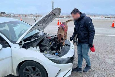 Uyuşturucu tacirleri, narkotik köpeğinden kaçamadı