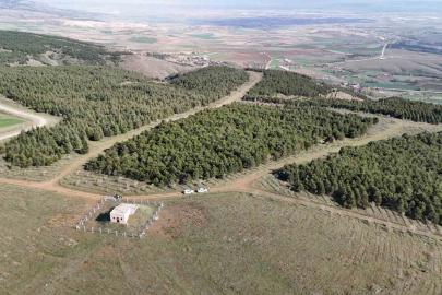 Vahşi cinayet zanlısı önce boğmuş sonra 2 gün art arda yakmış