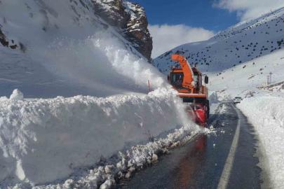 Van-Çatak yoluna düşen çığ temizleniyor