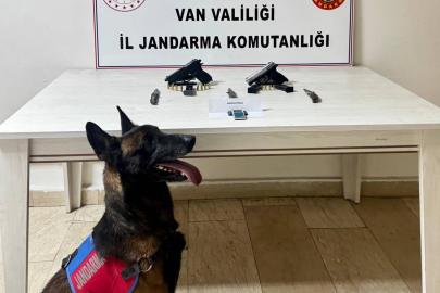 Van’da ruhsatsız tabanca ele geçirildi