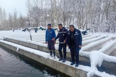 Van’da zorlu kış şartlarında alabalık üretimi mercek altında