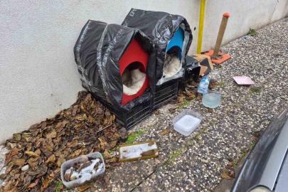 Vatandaşlardan sokak hayvanları için örnek davranış