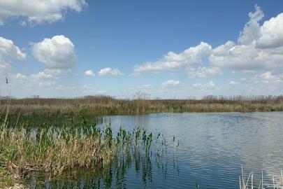 Yağışlar Eber Gölü’ne can suyu oldu, kiraz üreticisinin yüzü güldü
