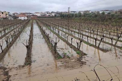 Yağmurlar bağcıların yüzünü güldürdü