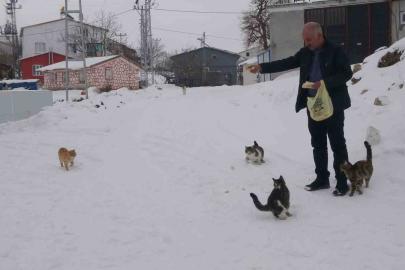 Yaklaşık 2 bin nüfuslu köyde kışın sadece bir aile yaşıyor