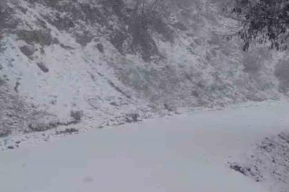 Yazın yanan orman sahası beyaza büründü