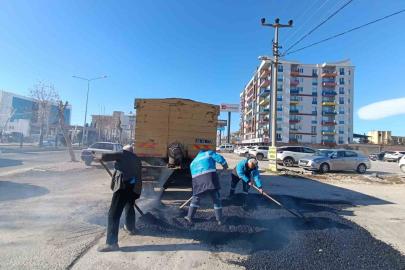 Yedi mahallede eş zamanlı çalışma