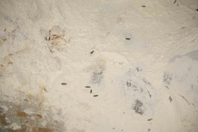 Yenişehir Belediyesi’nden YESAŞ’a hijyen cezası