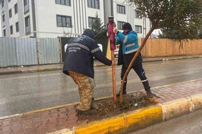 Yeşil alanlarda mevsimlik bakım ve güçlendirme seferberliği