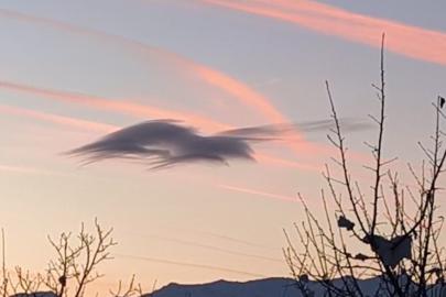 Yüksekova’da gökyüzünde doğa şöleni: Bir bulut onlarca silüet