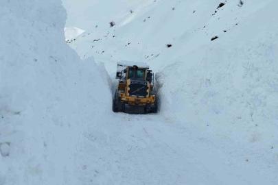 Yüksekova’da mezra yoluna düşen çığ temizlendi