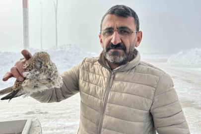 Yüksekova’da yürek burkan manzara: Konduğu yerde dondu