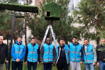 Yurt öğrencileri kuşlar için ev yaptılar