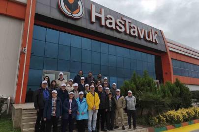 ABD Türk tavuğunun peşinde