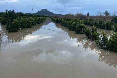 Adana’da şiddetli yağış, tarlaları sular altında bıraktı