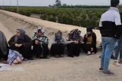 Adana’da trafik kazası: 1’i ağır 7 tarım işçisi yaralandı