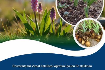 Adıyaman Üniversitesinden kırsal kalkınma için salep hamlesi