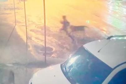 Adıyaman’da sahipsiz köpek dehşeti: 10 yaşındaki çocuğu vatandaşlar kurtardı