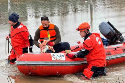 AFAD mahsur kalan hayvanları tahliye ediyor