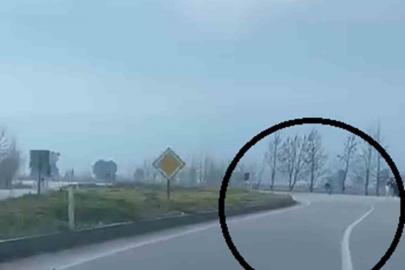 Akrobatik hareketler yapan motosiklet sürücüsü tarlaya uçtu