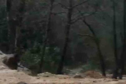 Alanya’da sağanak sonrası su taşkını köprüde zarara neden oldu