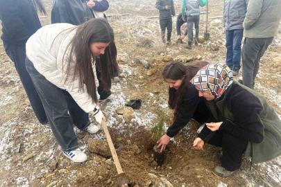 Altıntaş’ta lise öğrencileri fidan dikti