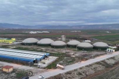 Amasya’da biyogaz tesisinde zehirlenerek hayatını kaybeden 3 işçinin kimlikleri belli oldu