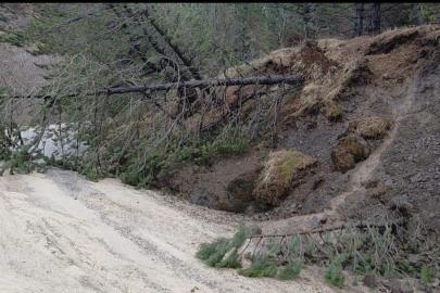 Amasya’da ormanlık alanda heyelan: Ağaçlar devrildi