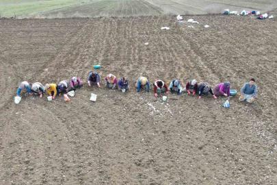 Annenin fedakarlık dolu yolculuğu: Çocukları için megakenti bırakıp toprağa sarıldı