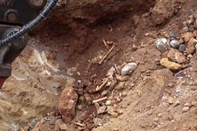 Antalya’da belediye kazısında kemik parçaları bulundu
