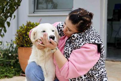 Antalya’da sokak hayvanları yeni sahiplerini bekliyor