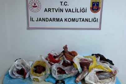 Artvin’de 60 kilo yaban domuzu eti ele geçirildi