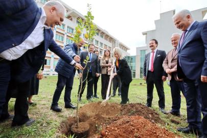 AÜ İlahiyat Fakültesi bahçesine 100 ağaç dikildi