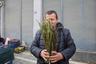 Aydın’ın yöresel lezzeti kedirgen ve sarmaşıklar pazar tezgahlarını süslemeye başladı