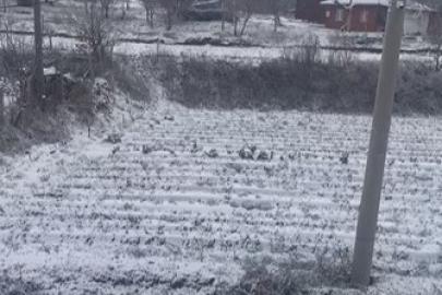 Aydın’ın yüksekleri beyaza büründü