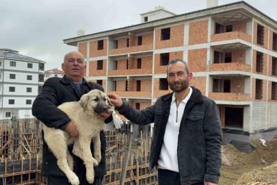 Baba oğul, çatıda ölümün eşiğindeki yavru köpeği kurtardı