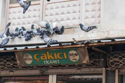 Balkonunu kuşlara sofra yaptı: Demircili esnaftan örnek davranış