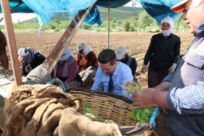 Başkan Tatık’tan tütün firmalarına ’Alım takvimi açıklayın’ çağrısı