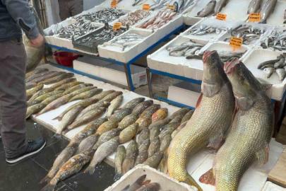 Batman’da 120 kiloluk dev turna balığı görenleri hayrete düşürdü