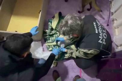 Battaniyeye zulalanan uyuşturucuyu narkotik köpeği buldu