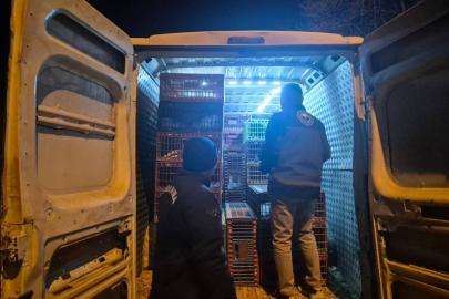 Bilecik’te belgesiz hayvan sevkine 52 bin 720 TL ceza