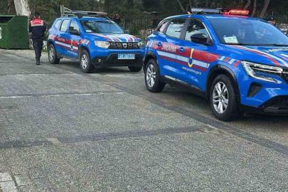 Bodrum’da iki köpeğin silahla vurulduğu iddiası