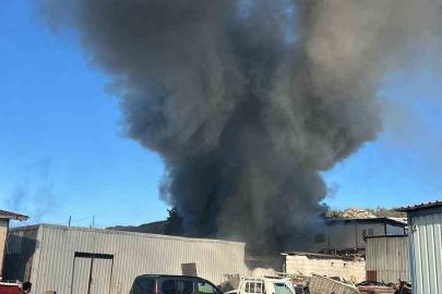 Bodrum’da işçilerin kaldığı konteyner alevlere teslim oldu