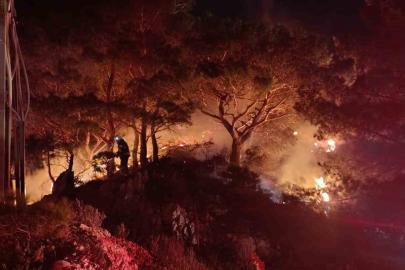Bodrum’da ormanlık alanda yangın: 2 dönüm alan zarar gördü