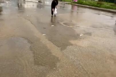 Bodrum’da sağanak baskını: Gölet taştı, asfalta balık yağdı